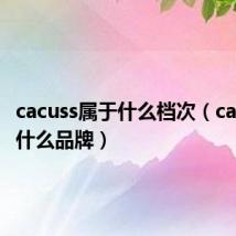 cacuss属于什么档次(cacuss是什么品牌)