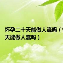 怀孕二十天能做人流吗(怀孕20天能做人流吗)