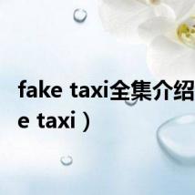 fake taxi全集介绍（fake taxi）