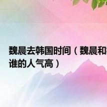 魏晨去韩国时间(魏晨和权志龙谁的人气高)