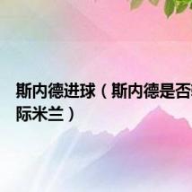 斯内德进球(斯内德是否转会国际米兰)