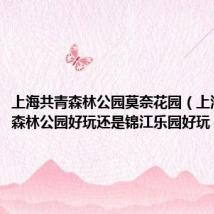 上海共青森林公园莫奈花园(上海是共青森林公园好玩还是锦江乐园好玩)