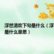 浮世清欢下句是什么(浮世清欢是什么意思)