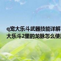 q宠大乐斗武器技能详解(Q宠大乐斗2里的龙脉怎么使用)
