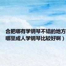 合肥哪有学钢琴不错的地方(合肥哪里成人学钢琴比较好啊)