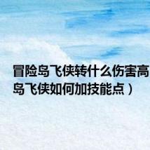 冒险岛飞侠转什么伤害高(冒险岛飞侠如何加技能点)