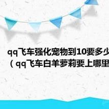 qq飞车强化宠物到10要多少强化卡(qq飞车白羊萝莉要上哪里强化)