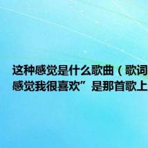 这种感觉是什么歌曲(歌词“这种感觉我很喜欢”是那首歌上的)