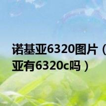 诺基亚6320图片(诺基亚有6320c吗)