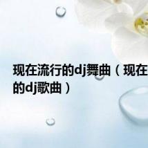现在流行的dj舞曲(现在最流行的dj歌曲)