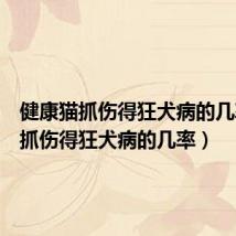 健康猫抓伤得狂犬病的几率(猫抓伤得狂犬病的几率)