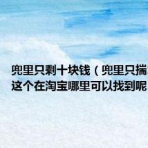 兜里只剩十块钱(兜里只揣10块钱这个在淘宝哪里可以找到呢)