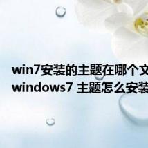win7安装的主题在哪个文件夹（windows7 主题怎么安装）