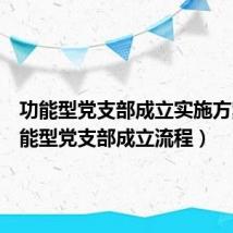 功能型党支部成立实施方案（功能型党支部成立流程）