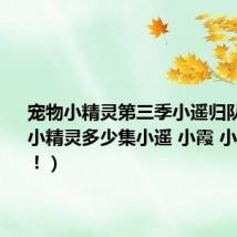 宠物小精灵第三季小遥归队(宠物小精灵多少集小遥 小霞 小光相遇的!)