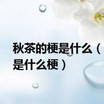 秋茶的梗是什么(dssq是什么梗)