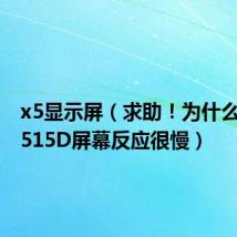 x5显示屏(求助!为什么我的X515D屏幕反应很慢)