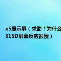 x5显示屏（求助！为什么我的X515D屏幕反应很慢）