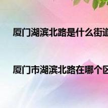 厦门湖滨北路是什么街道(||厦门市湖滨北路在哪个区)