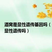 酒窝是显性遗传基因吗(酒窝是显性遗传吗)