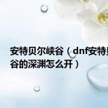 安特贝尔峡谷(dnf安特贝鲁峡谷的深渊怎么开)