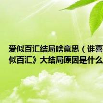 爱似百汇结局啥意思(谁喜欢《爱似百汇》大结局原因是什么呢)