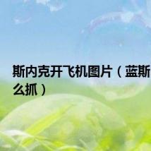 斯内克开飞机图片(蓝斯内克怎么抓)