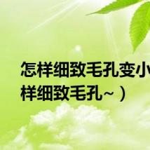 怎样细致毛孔变小(怎样细致毛孔~)