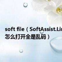 soft file(SoftAssist.Link文件怎么打开全是乱码)