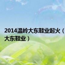2014温岭大东鞋业起火(温岭市大东鞋业)