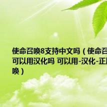 使命召唤8支持中文吗(使命召唤8正版可以用汉化吗 可以用-汉化-正版-使命召唤)