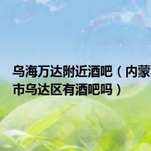 乌海万达附近酒吧(内蒙古乌海市乌达区有酒吧吗)