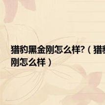 猎豹黑金刚怎么样?(猎豹黑金刚怎么样)
