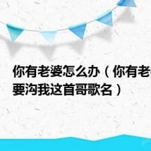 你有老婆怎么办（你有老婆点解要沟我这首哥歌名）