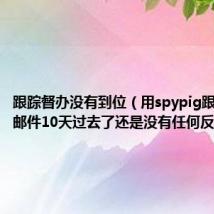 跟踪督办没有到位(用spypig跟踪客人邮件10天过去了还是没有任何反馈求解)