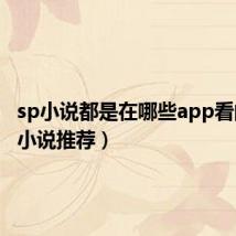 sp小说都是在哪些app看的(sp小说推荐)