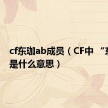 cf东珈ab成员（CF中 “东珈” 是什么意思）