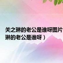 关之琳的老公是谁呀图片(关之琳的老公是谁呀)