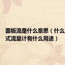面板流是什么意思(什么是面板式流量计有什么用途)