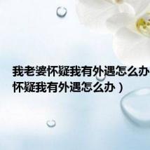 我老婆怀疑我有外遇怎么办(老婆怀疑我有外遇怎么办)