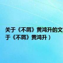 关于《不屑》黄鸿升的文章(关于《不屑》黄鸿升)