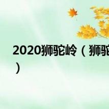 2020狮驼岭（狮驼之光）