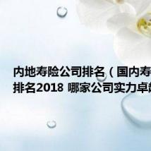 内地寿险公司排名（国内寿险公司排名2018 哪家公司实力卓越）