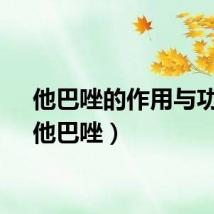 他巴唑的作用与功能（他巴唑）