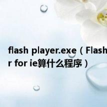flash player.exe（Flash player for ie算什么程序）