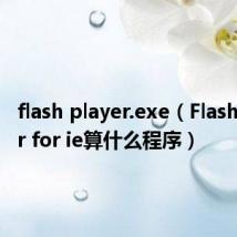 flash player.exe(Flash player for ie算什么程序)