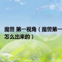 魔兽 第一视角(魔兽第一视角是怎么出来的)