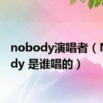 nobody演唱者(Nobody 是谁唱的)