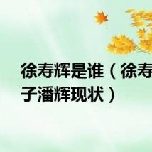 徐寿辉是谁（徐寿兰儿子潘辉现状）