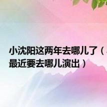 小沈阳这两年去哪儿了(小沈阳最近要去哪儿演出)